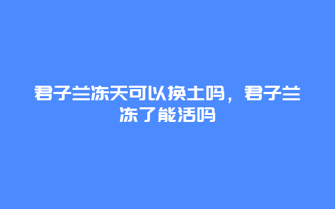 君子兰冻天可以换土吗，君子兰冻了能活吗