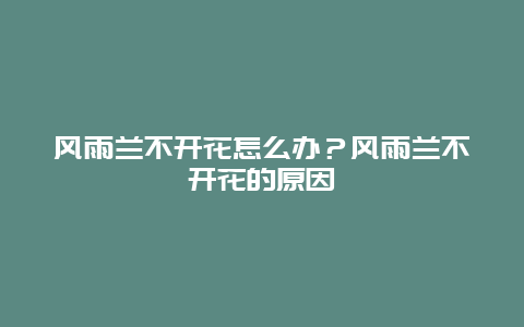 风雨兰不开花怎么办？风雨兰不开花的原因