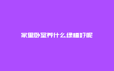 家里卧室养什么绿植好呢