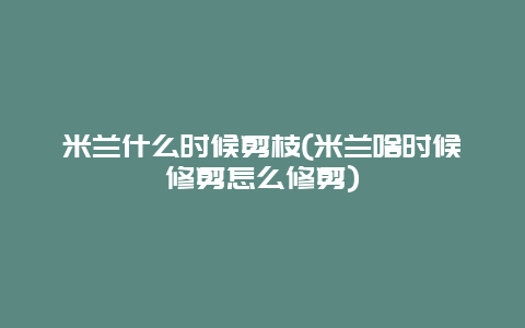 米兰什么时候剪枝(米兰啥时候修剪怎么修剪)