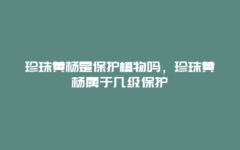 珍珠黄杨是保护植物吗，珍珠黄杨属于几级保护