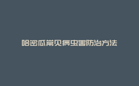 哈密瓜常见病虫害防治方法