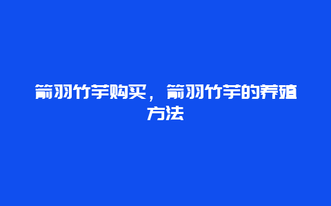 箭羽竹芋购买，箭羽竹芋的养殖方法