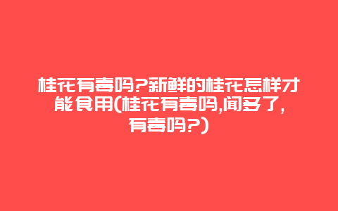 桂花有毒吗?新鲜的桂花怎样才能食用(桂花有毒吗,闻多了,有毒吗?)