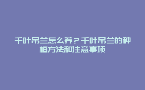 千叶吊兰怎么养？千叶吊兰的种植方法和注意事项