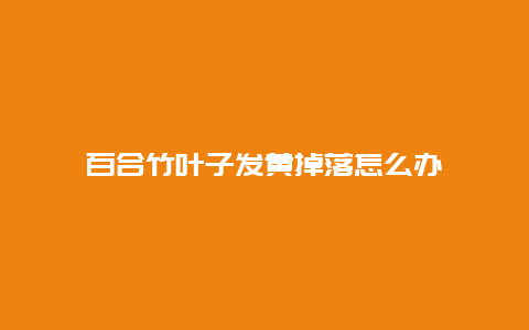 百合竹叶子发黄掉落怎么办