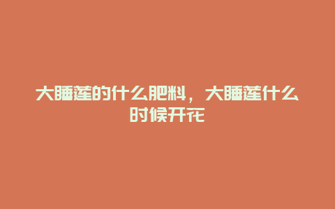 大睡莲的什么肥料，大睡莲什么时候开花