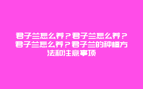 君子兰怎么养？君子兰怎么养？君子兰怎么养？君子兰的种植方法和注意事项