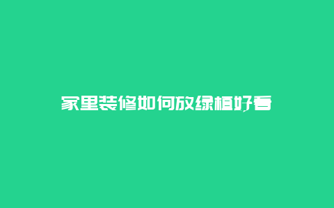 家里装修如何放绿植好看