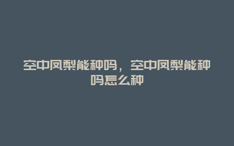 空中凤梨能种吗，空中凤梨能种吗怎么种