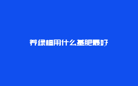 养绿植用什么基肥最好