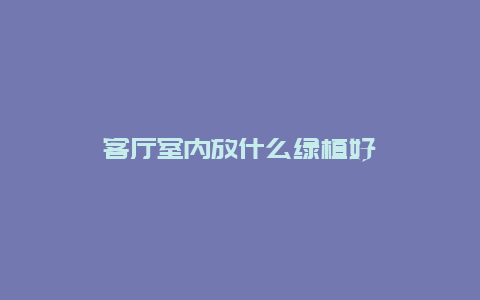 客厅室内放什么绿植好