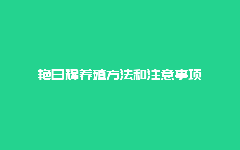 艳日辉养殖方法和注意事项