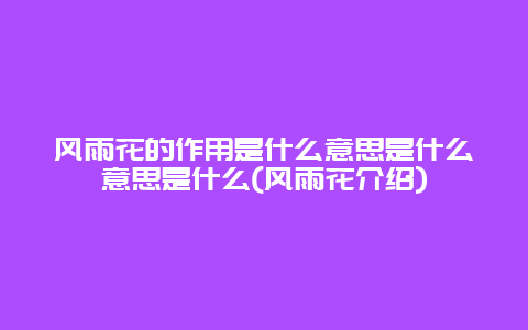 风雨花的作用是什么意思是什么意思是什么(风雨花介绍)