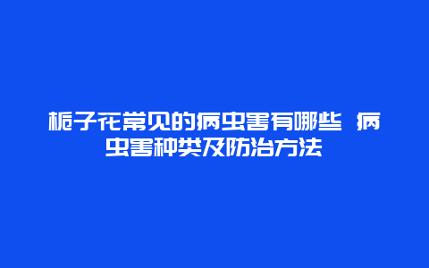 栀子花常见的病虫害有哪些 病虫害种类及防治方法