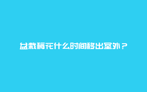 盆栽梅花什么时间移出室外？