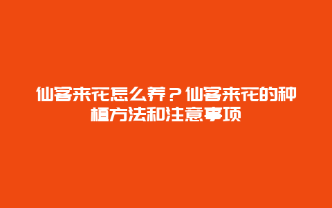 仙客来花怎么养？仙客来花的种植方法和注意事项