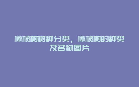 橄榄树树种分类，橄榄树的种类及名称图片