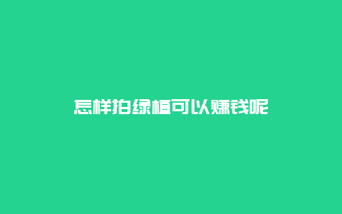 怎样拍绿植可以赚钱呢