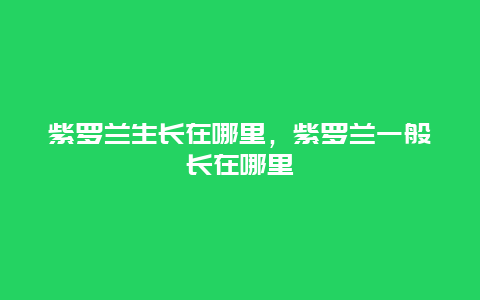 紫罗兰生长在哪里，紫罗兰一般长在哪里