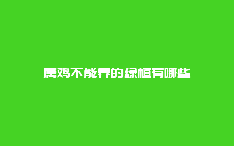 属鸡不能养的绿植有哪些