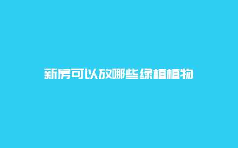 新房可以放哪些绿植植物