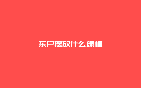 东户摆放什么绿植