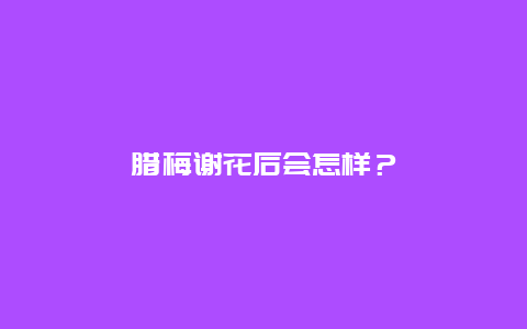 腊梅谢花后会怎样？