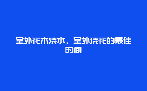 室外花木浇水，室外浇花的最佳时间