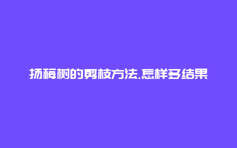 扬梅树的剪枝方法.怎样多结果