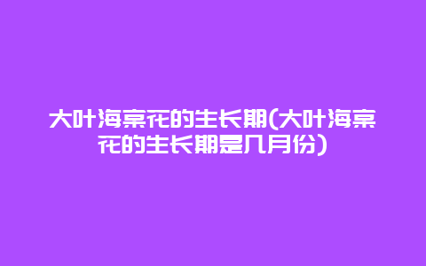 大叶海棠花的生长期(大叶海棠花的生长期是几月份)