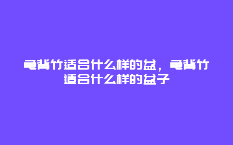 龟背竹适合什么样的盆，龟背竹适合什么样的盆子