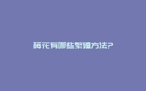 梅花有哪些繁殖方法?