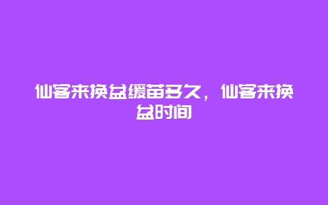 仙客来换盆缓苗多久，仙客来换盆时间