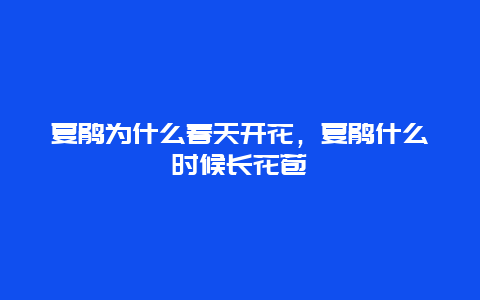 夏鹃为什么春天开花，夏鹃什么时候长花苞