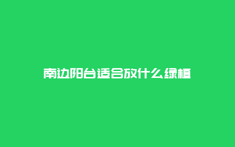 南边阳台适合放什么绿植