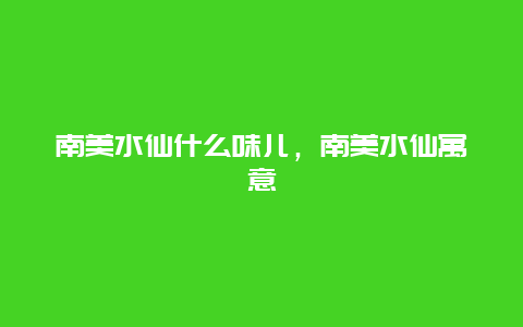 南美水仙什么味儿，南美水仙寓意