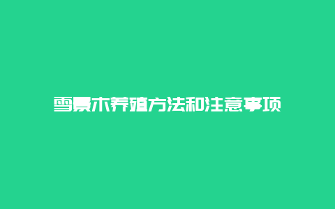 雪景木养殖方法和注意事项