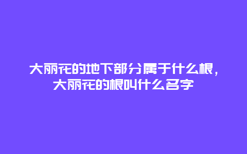 大丽花的地下部分属于什么根，大丽花的根叫什么名字