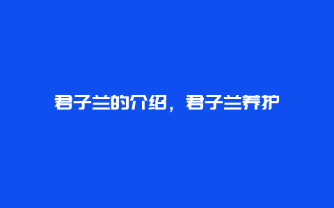 君子兰的介绍，君子兰养护