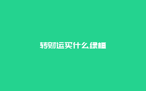 转财运买什么绿植