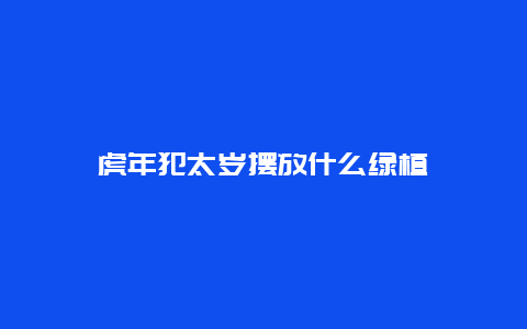 虎年犯太岁摆放什么绿植