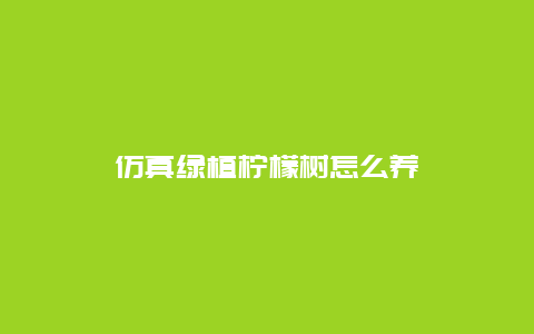 仿真绿植柠檬树怎么养