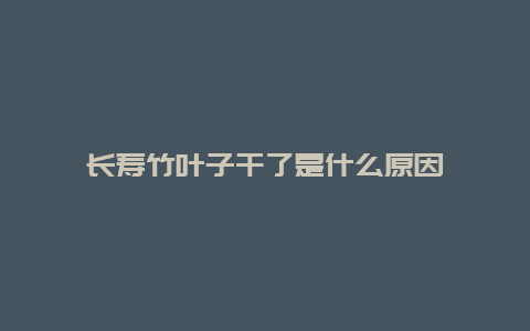 长寿竹叶子干了是什么原因