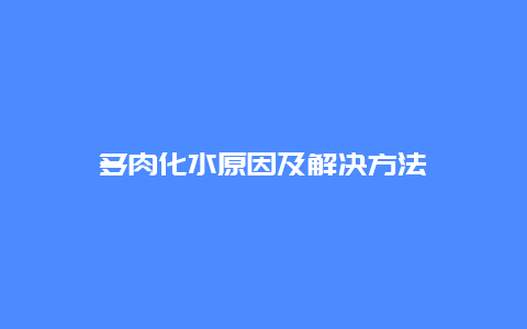 多肉化水原因及解决方法