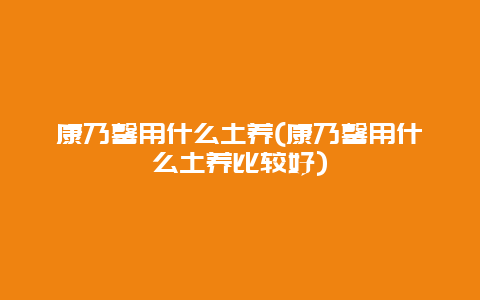 康乃馨用什么土养(康乃馨用什么土养比较好)