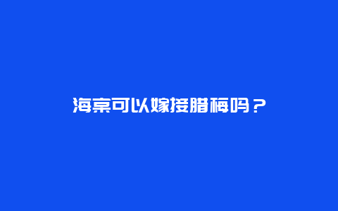 海棠可以嫁接腊梅吗？