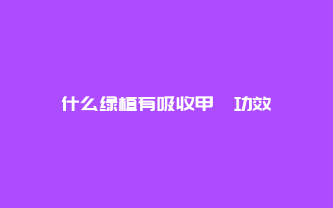 什么绿植有吸收甲醛功效