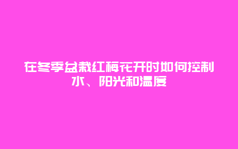 在冬季盆栽红梅花开时如何控制水、阳光和温度