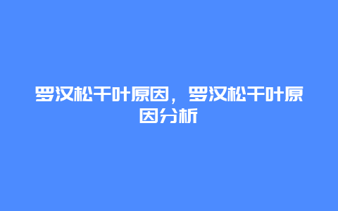 罗汉松干叶原因，罗汉松干叶原因分析